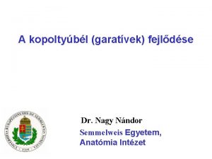 Garattasak