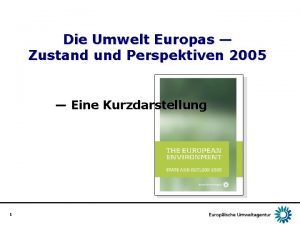 Die Umwelt Europas Zustand und Perspektiven 2005 Eine