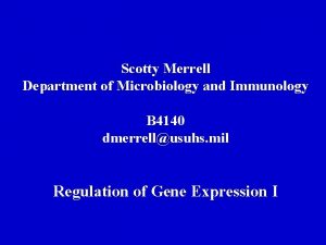 Scotty Merrell Department of Microbiology and Immunology B