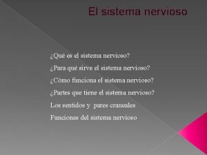 Sistema nervioso