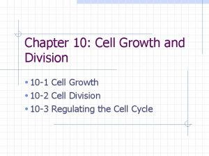 Concept map cell cycle