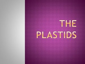 Plastid are present in