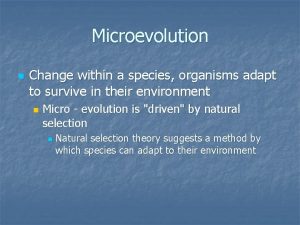 Microevolution n Change within a species organisms adapt