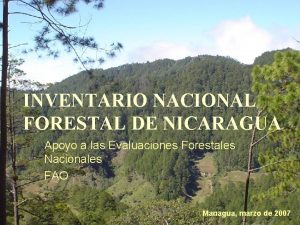 INVENTARIO NACIONAL FORESTAL DE NICARAGUA Apoyo a las