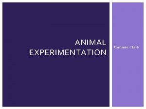 ANIMAL EXPERIMENTATION Tommie Clark INTRODUCTION There are extremely