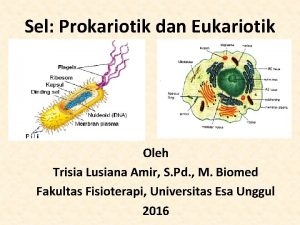 Sel Prokariotik dan Eukariotik Oleh Trisia Lusiana Amir