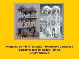 Programa de PsGraduao Mestrado e Doutorado Epidemiologia em