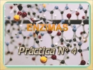 ENZIMAS 1 Concepto de enzima 2 Concepto de