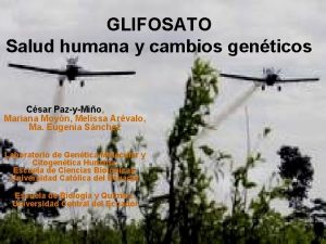 GLIFOSATO Salud humana y cambios genticos Csar PazyMio