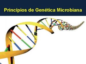 Princpios de Gentica Microbiana Definio Gentica do grego