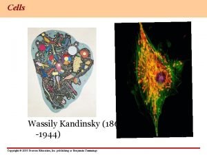 Cells Wassily Kandinsky 1866 1944 Copyright 2003 Pearson