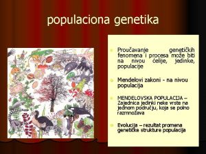 populaciona genetika l Prouavanje genetikih fenomena i procesa
