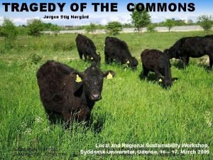 TRAGEDY OF THE COMMONS Jrgen Stig Nrgrd Sustainability