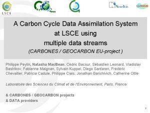 A Carbon Cycle Data Assimilation System at LSCE