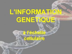 LINFORMATION GENETIQUE lchelle cellulaire PLAN I Support et