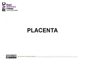 PLACENTA This resource is licensed under the Creative
