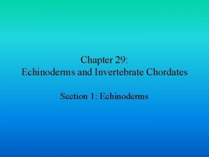 Chapter 29 Echinoderms and Invertebrate Chordates Section 1