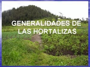 GENERALIDADES DE LAS HORTALIZAS GENERALIDADES Sistema Organizacin de