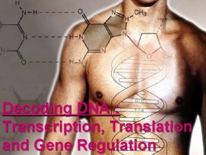 Dna translation