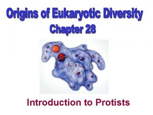Chlorophyta prokaryotic eukaryotic