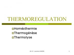 Thermolyse