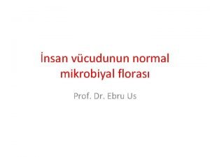 nsan vcudunun normal mikrobiyal floras Prof Dr Ebru