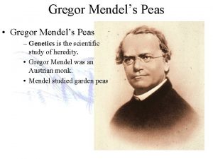 Gregor Mendels Peas Gregor Mendels Peas Genetics is