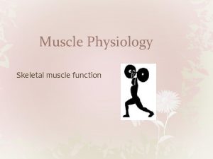 Muscle Physiology Skeletal muscle function Muscle Strength A