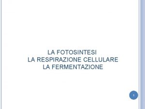 Respirazione cellulare tappe