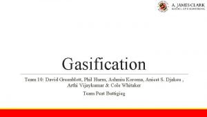 Gasification Team 10 David Greenblott Phil Hurm Ashmiu