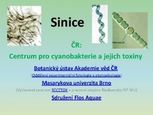 Sinice R Centrum pro cyanobakterie a jejich toxiny