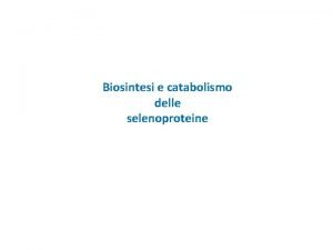 Biosintesi e catabolismo delle selenoproteine Assorbimento Non vi