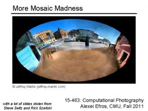 More Mosaic Madness Jeffrey Martin jeffreymartin com with