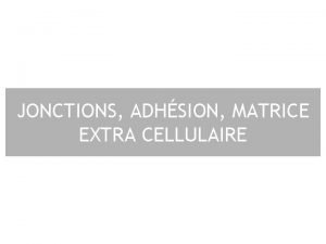 JONCTIONS ADHSION MATRICE EXTRA CELLULAIRE Plan I Jonctions