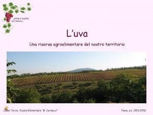 prima acerba poi matura Luva Una risorsa agroalimentare