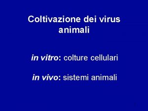 Coltivazione dei virus animali in vitro colture cellulari