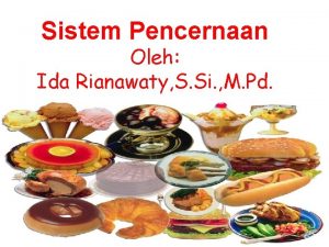 Organ sistem pencernaan Organ sistem pencernaan