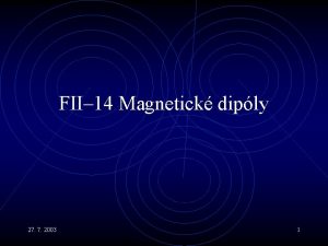 FII 14 Magnetick diply 27 7 2003 1