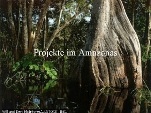 Projekte im Amazonas Daten ber den Amazonas Gre