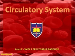 Circulatory System Kelas 8 SMPK 1 BPK PENABUR