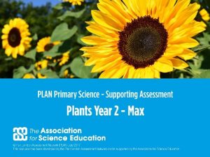 1 PLAN Primary Science Supporting Assessment PLAN Primary