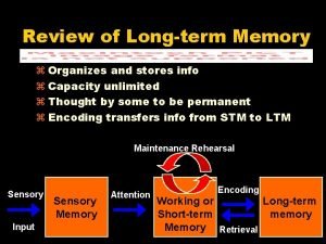 Review of Longterm Memory z Organizes and stores