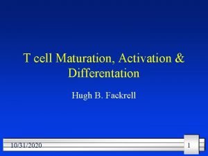 T cell Maturation Activation Differentation Hugh B Fackrell