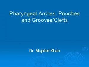Pharyngeal Arches Pouches and GroovesClefts Dr Mujahid Khan