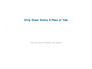 Strip Stave Status Plans at Yale Paul Tipton