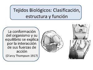 Fibrocartilago interarticular
