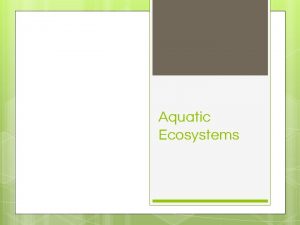 Aquatic Ecosystems The Aquatic Biome 3 Basic Areas