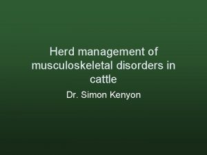 Herd management of musculoskeletal disorders in cattle Dr