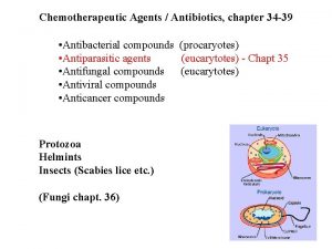 Chemotherapeutic Agents Antibiotics chapter 34 39 Antibacterial compounds