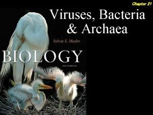 Chapter 21 Viruses Bacteria Archaea 2 Outline Viruses